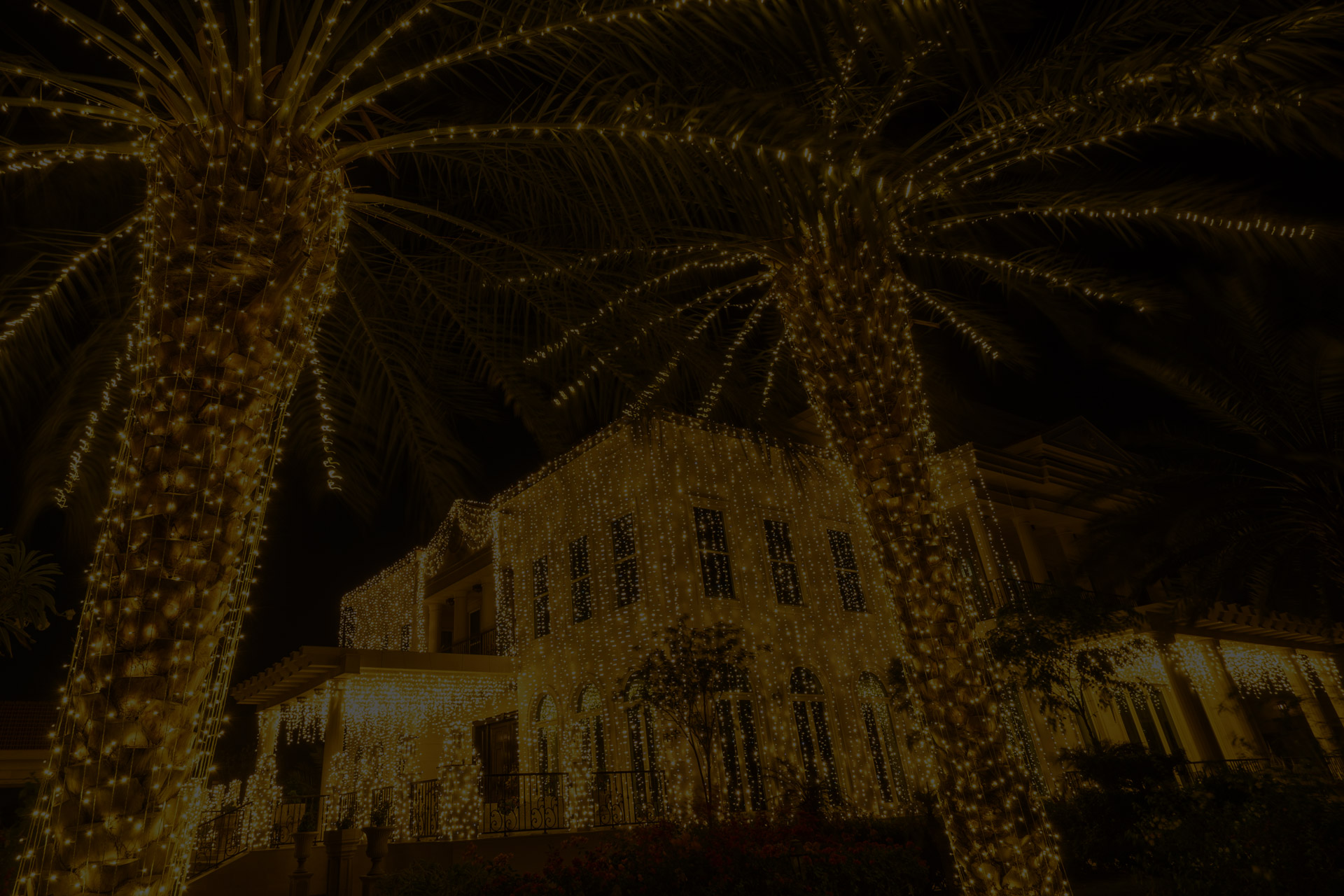 Luxury wedding light decorations with LED fairy lights and warm outdoor ambient lighting for romantic event setups and elegant venue decor.
